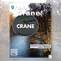 Image for Crane