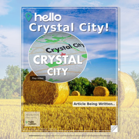 Image for Crystal City