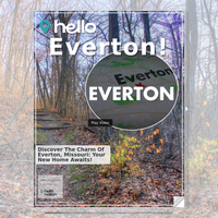 Image for Everton