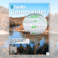 Image for Gainesville