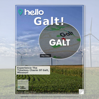 Image for Galt