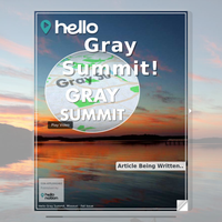 Image for Gray Summit