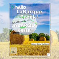 Image for LaBarque Creek