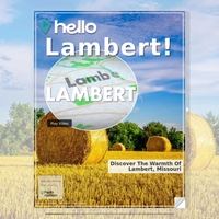 Image for Lambert