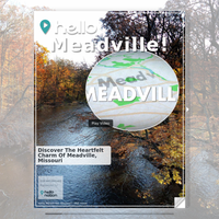 Image for Meadville