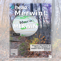 Image for Merwin