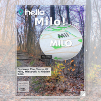 Image for Milo