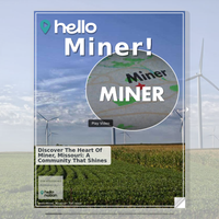 Image for Miner