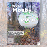 Image for Mosby