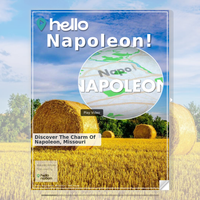 Image for Napoleon