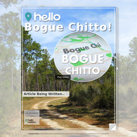 Image for Bogue Chitto