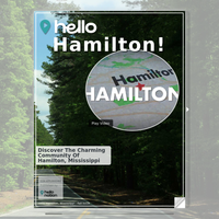 Image for Hamilton