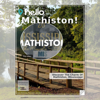 Image for Mathiston