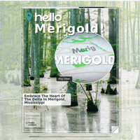 Image for Merigold