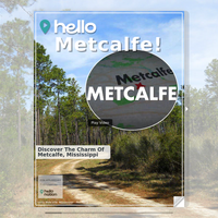 Image for Metcalfe