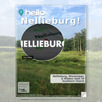 Image for Nellieburg