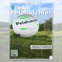 Image for Pelahatchie