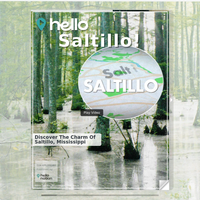 Image for Saltillo