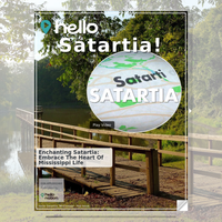 Image for Satartia