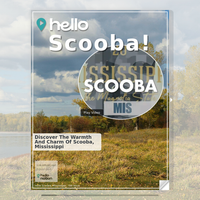 Image for Scooba