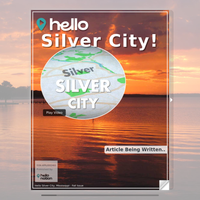 Image for Silver City