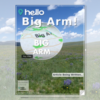 Image for Big Arm