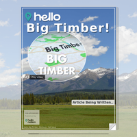 Image for Big Timber