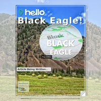 Image for Black Eagle