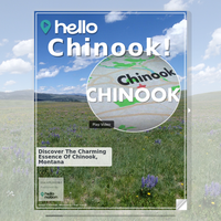 Image for Chinook