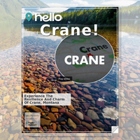 Image for Crane