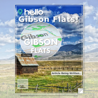 Image for Gibson Flats