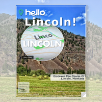 Image for Lincoln