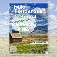 Image for Ponderosa Pines