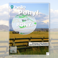 Image for Pony