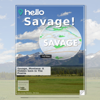 Image for Savage