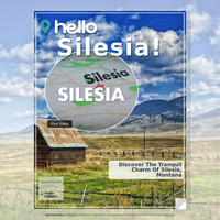 Image for Silesia