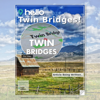 Image for Twin Bridges