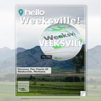 Image for Weeksville