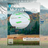 Image for Murrayssville