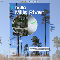 Image for Mills River