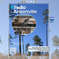 Image for Ansonville