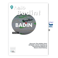 Image for Badin