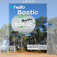 Image for Bostic