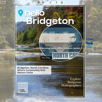 Image for Bridgeton