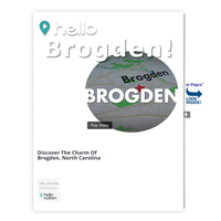 Image for Brogden