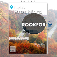 Image for Brookford