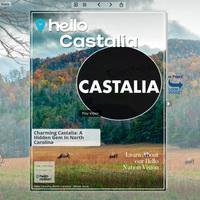 Image for Castalia