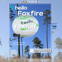 Image for Foxfire