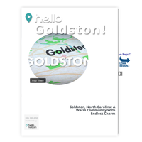 Image for Goldston