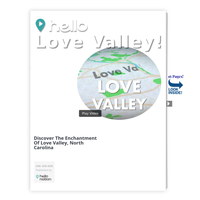 Image for Love Valley